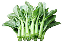 新鮮蔬菜和不新鮮蔬菜在營(yíng)養(yǎng)上有什么差別？