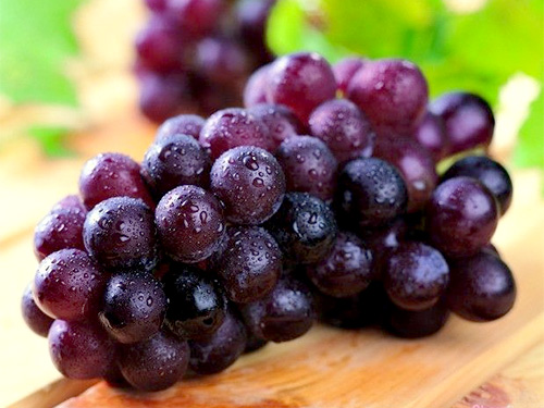 葡萄