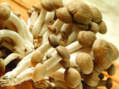 東莞蔬菜配送教你分辨有機(jī)蔬菜與普通蔬菜